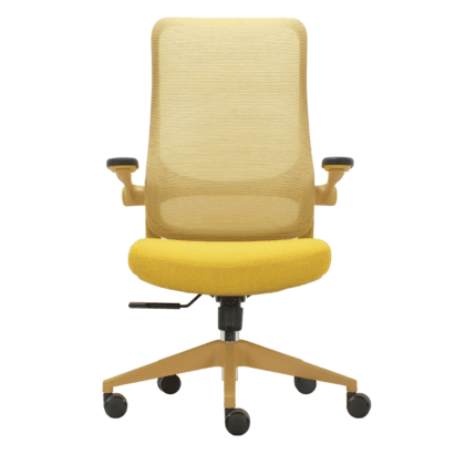 Ergonomic Mesh Office Chair
