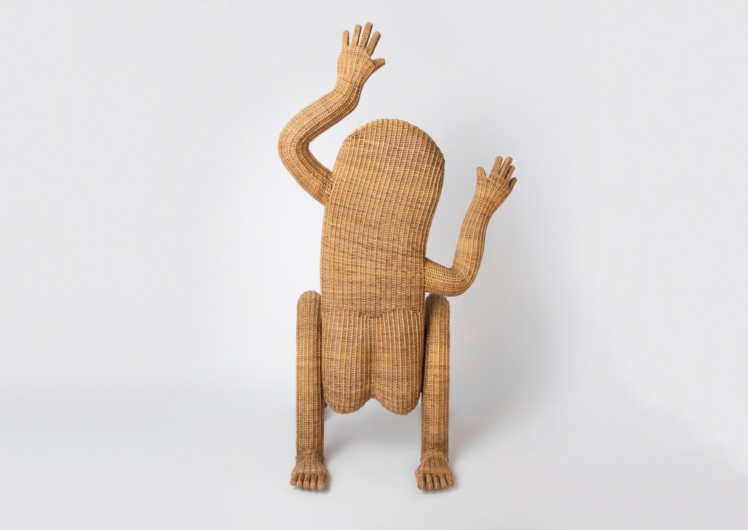 Nalgona Wicker Chair by Vintara Design