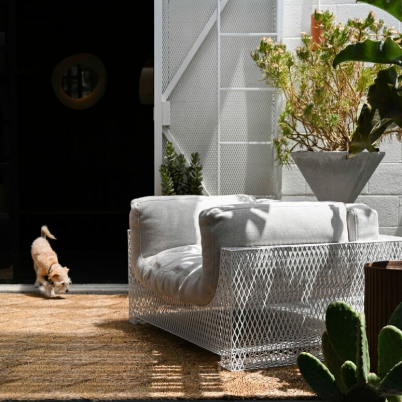 Franck Limited Edition Chair by Vintara Design