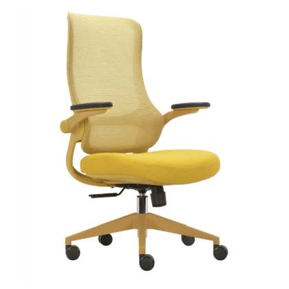 Ergonomic Mesh Office Chair