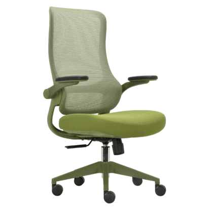 Ergonomic Mesh Office Chair - Green Breathable Backrest & Adjustable Height
