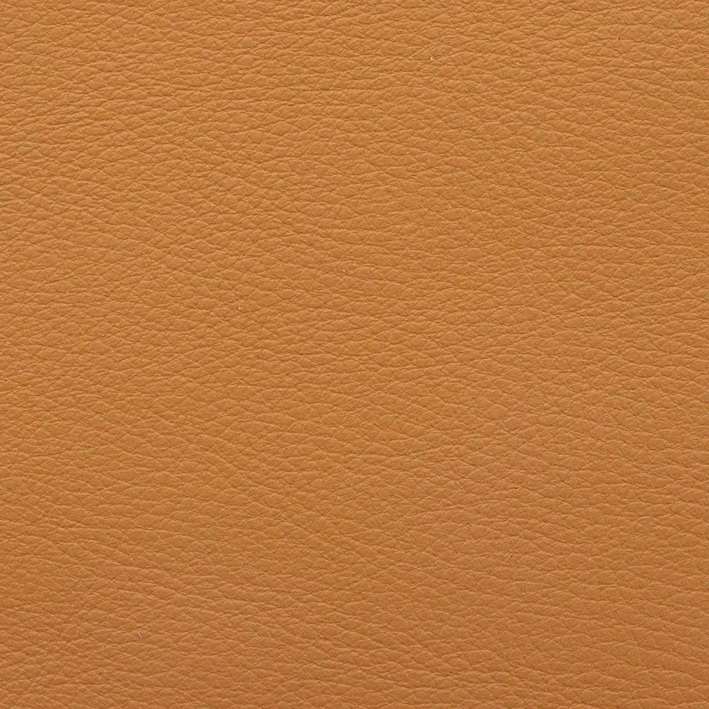 Premium Aniline and Semi-Aniline Leather