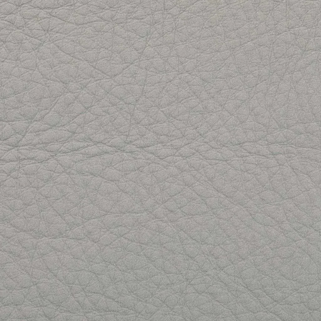 Pure Aniline Leather for High-End Products