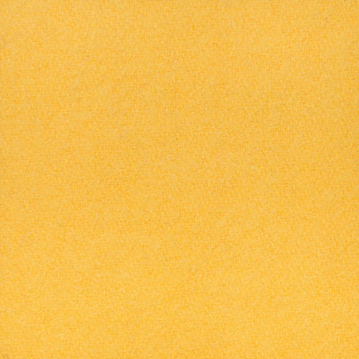 Cashmere Dijon Yellow