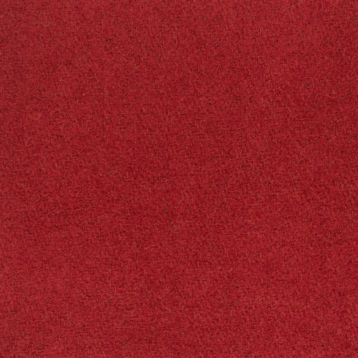 Cashmere Imperial Red